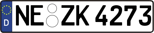 NE-ZK4273