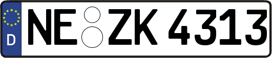 NE-ZK4313