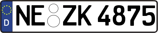 NE-ZK4875