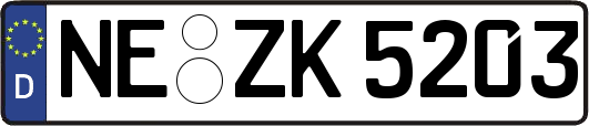NE-ZK5203
