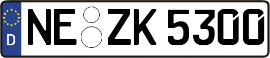 NE-ZK5300