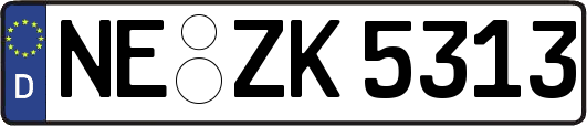 NE-ZK5313