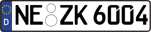NE-ZK6004
