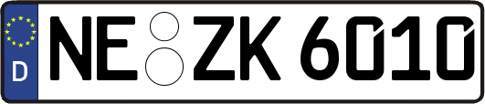 NE-ZK6010