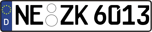 NE-ZK6013