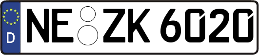 NE-ZK6020