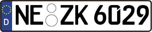 NE-ZK6029
