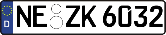 NE-ZK6032