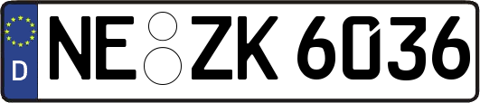 NE-ZK6036