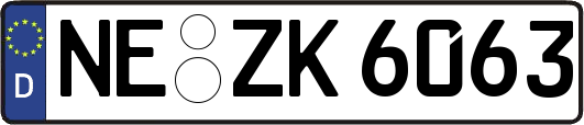 NE-ZK6063