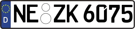 NE-ZK6075