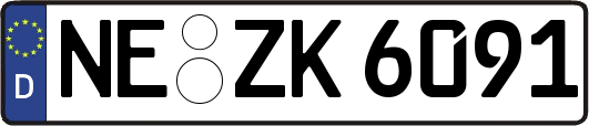 NE-ZK6091