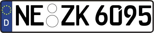 NE-ZK6095