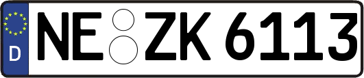 NE-ZK6113