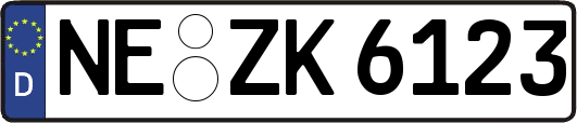 NE-ZK6123