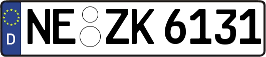 NE-ZK6131