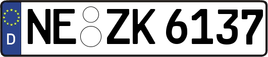 NE-ZK6137