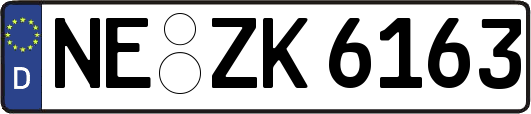 NE-ZK6163