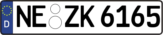 NE-ZK6165