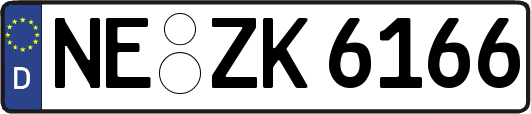 NE-ZK6166