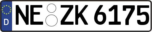 NE-ZK6175