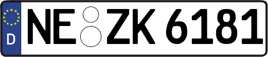NE-ZK6181