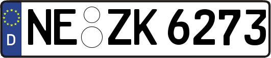 NE-ZK6273