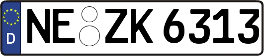 NE-ZK6313