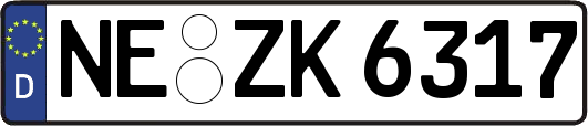 NE-ZK6317