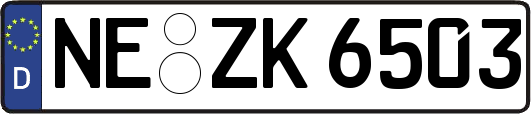 NE-ZK6503