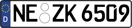 NE-ZK6509