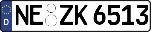 NE-ZK6513