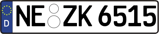 NE-ZK6515