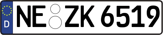 NE-ZK6519