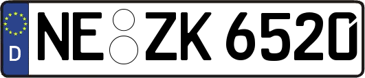 NE-ZK6520