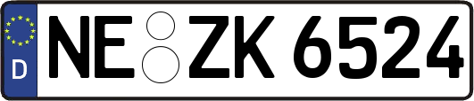 NE-ZK6524