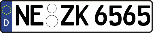 NE-ZK6565