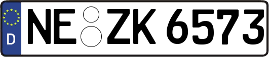 NE-ZK6573