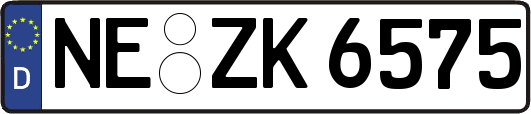 NE-ZK6575