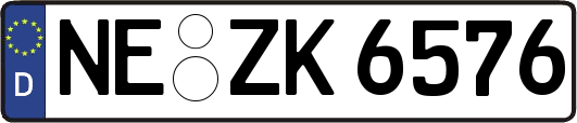 NE-ZK6576