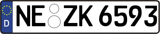 NE-ZK6593