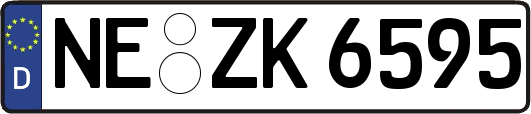 NE-ZK6595