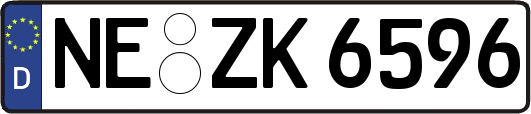 NE-ZK6596