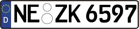 NE-ZK6597