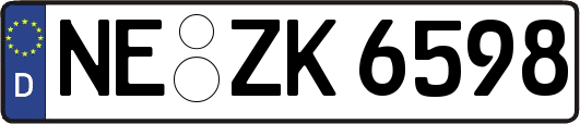 NE-ZK6598