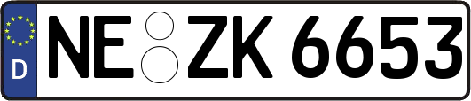 NE-ZK6653