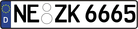 NE-ZK6665
