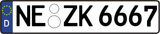 NE-ZK6667