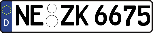 NE-ZK6675