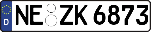NE-ZK6873